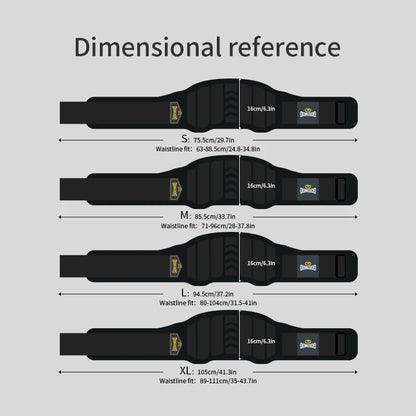 Ceinture Dorsale Sport – Soutien du Dos pour Musculation